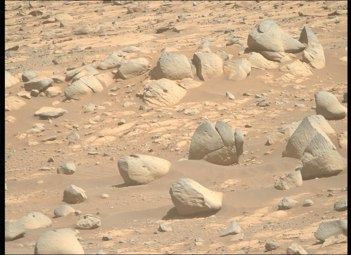 This image was taken by MCZ_RIGHT onboard NASA's Mars rover Perseverance on Sol 1685