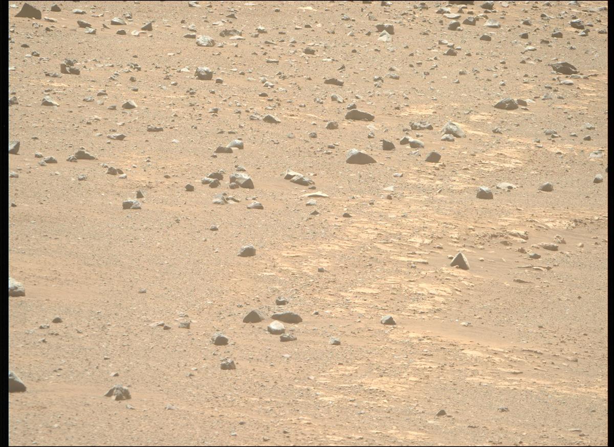 This image was taken by MCZ_RIGHT onboard NASA's Mars rover Perseverance on Sol 1685