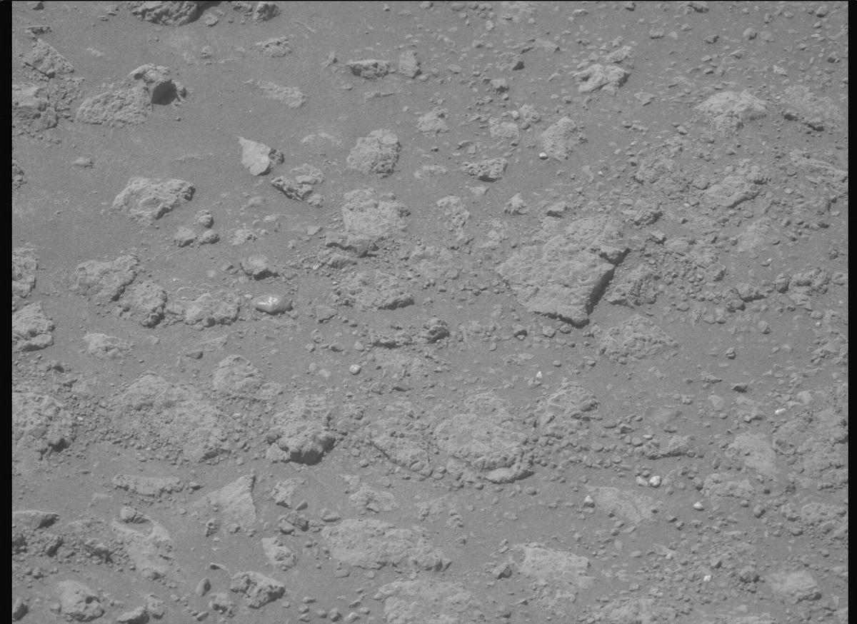 This image was taken by MCZ_LEFT onboard NASA's Mars rover Perseverance on Sol 1687