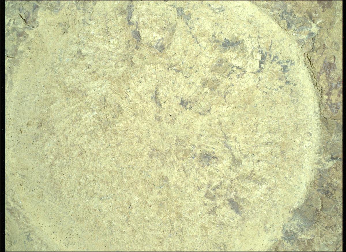 This image was taken by SHERLOC_WATSON onboard NASA's Mars rover Perseverance on Sol 1692