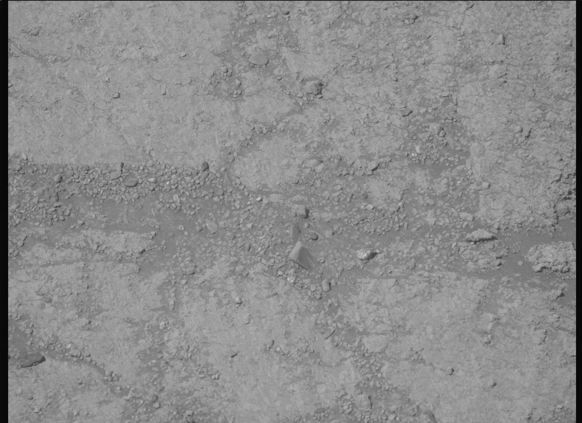 This image was taken by MCZ_LEFT onboard NASA's Mars rover Perseverance on Sol 1692