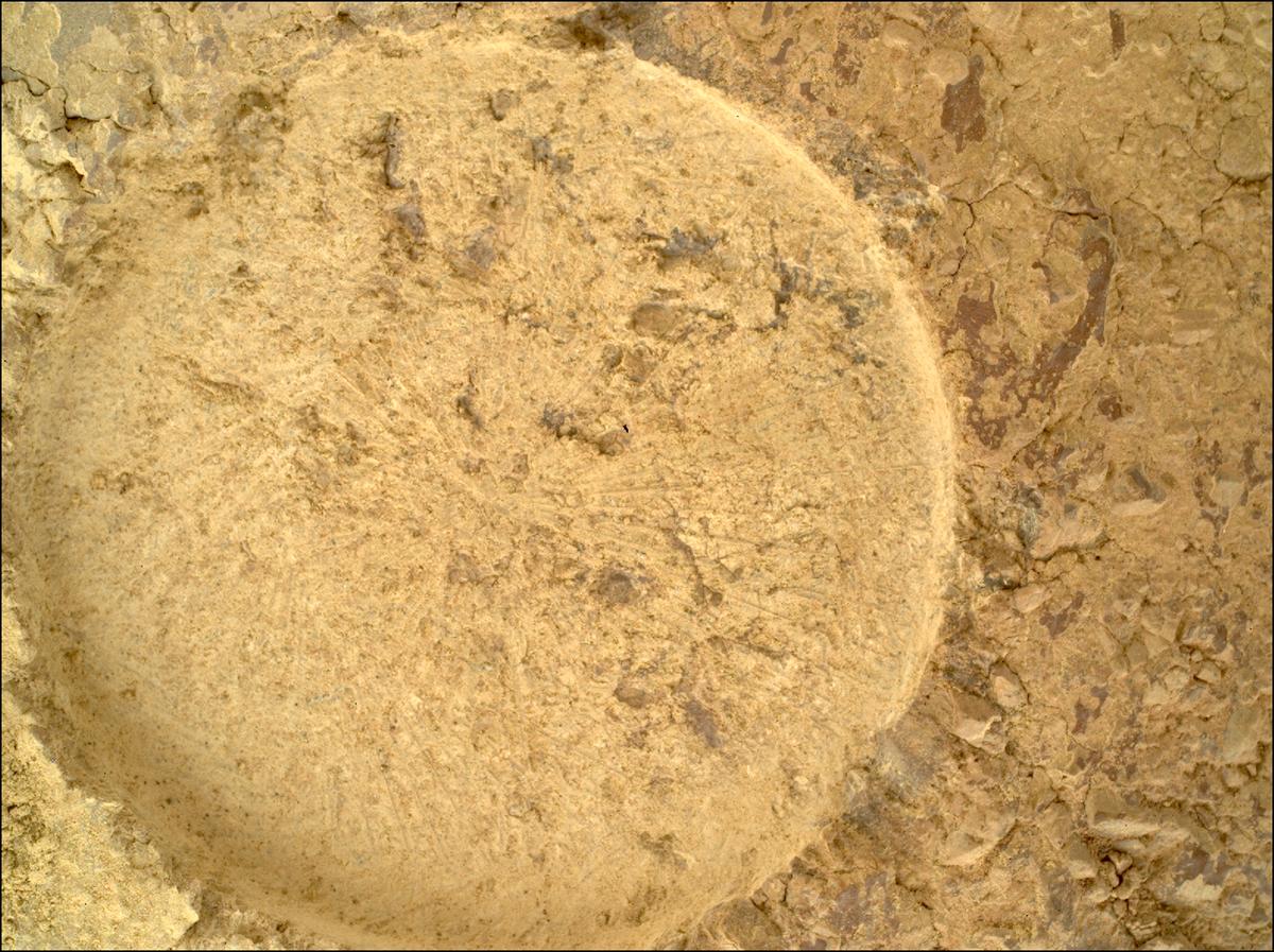 This image was taken by SHERLOC_WATSON onboard NASA's Mars rover Perseverance on Sol 1693