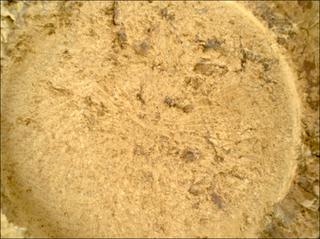 View image taken on Mars, Mars Perseverance Sol 1693: WATSON Camera 