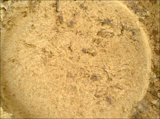 View image taken on Mars, Mars Perseverance Sol 1693: WATSON Camera 