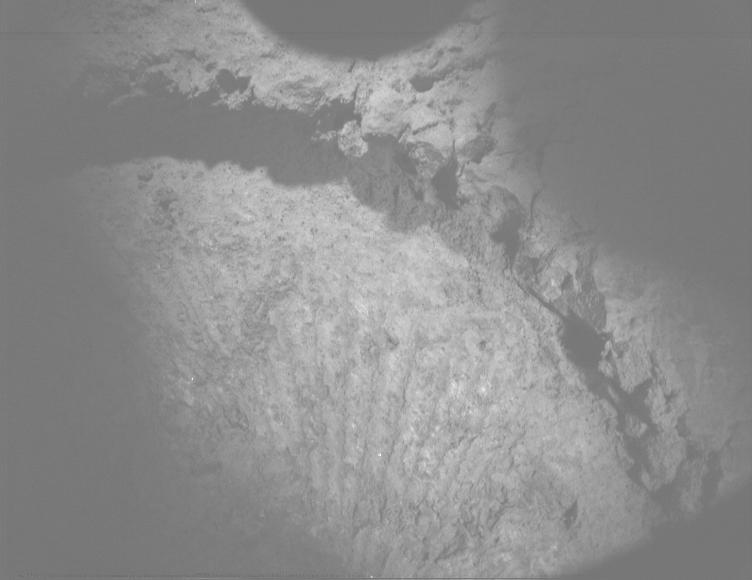 This image was taken by PIXL_MCC onboard NASA's Mars rover Perseverance on Sol 1696