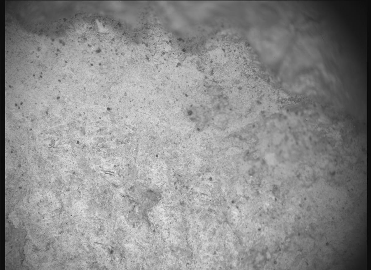 This image was taken by SHERLOC_ACI onboard NASA's Mars rover Perseverance on Sol 1696