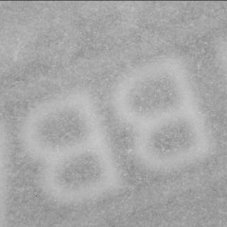 View image taken on Mars, Mars Perseverance Sol 1697: SHERLOC ACI Camera 