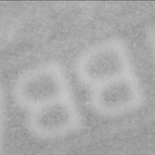 View image taken on Mars, Mars Perseverance Sol 1697: SHERLOC ACI Camera 