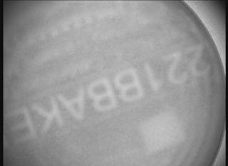 View image taken on Mars, Mars Perseverance Sol 1697: SHERLOC ACI Camera 