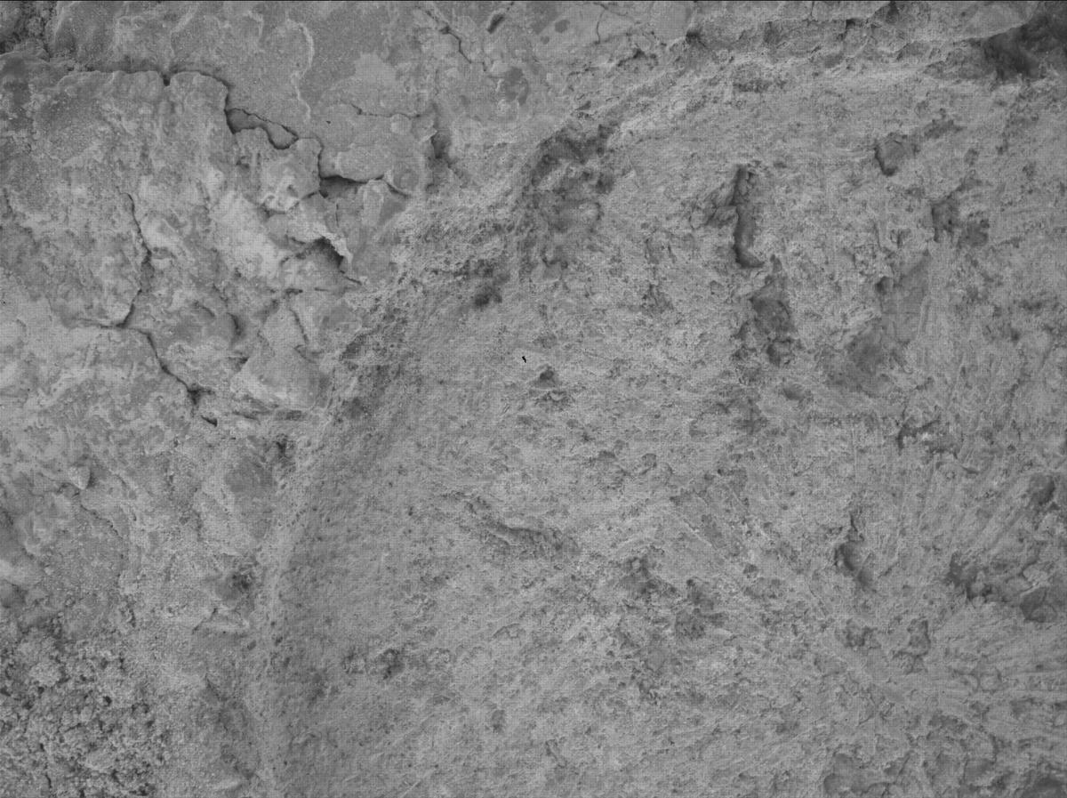 This image was taken by SHERLOC_WATSON onboard NASA's Mars rover Perseverance on Sol 1697