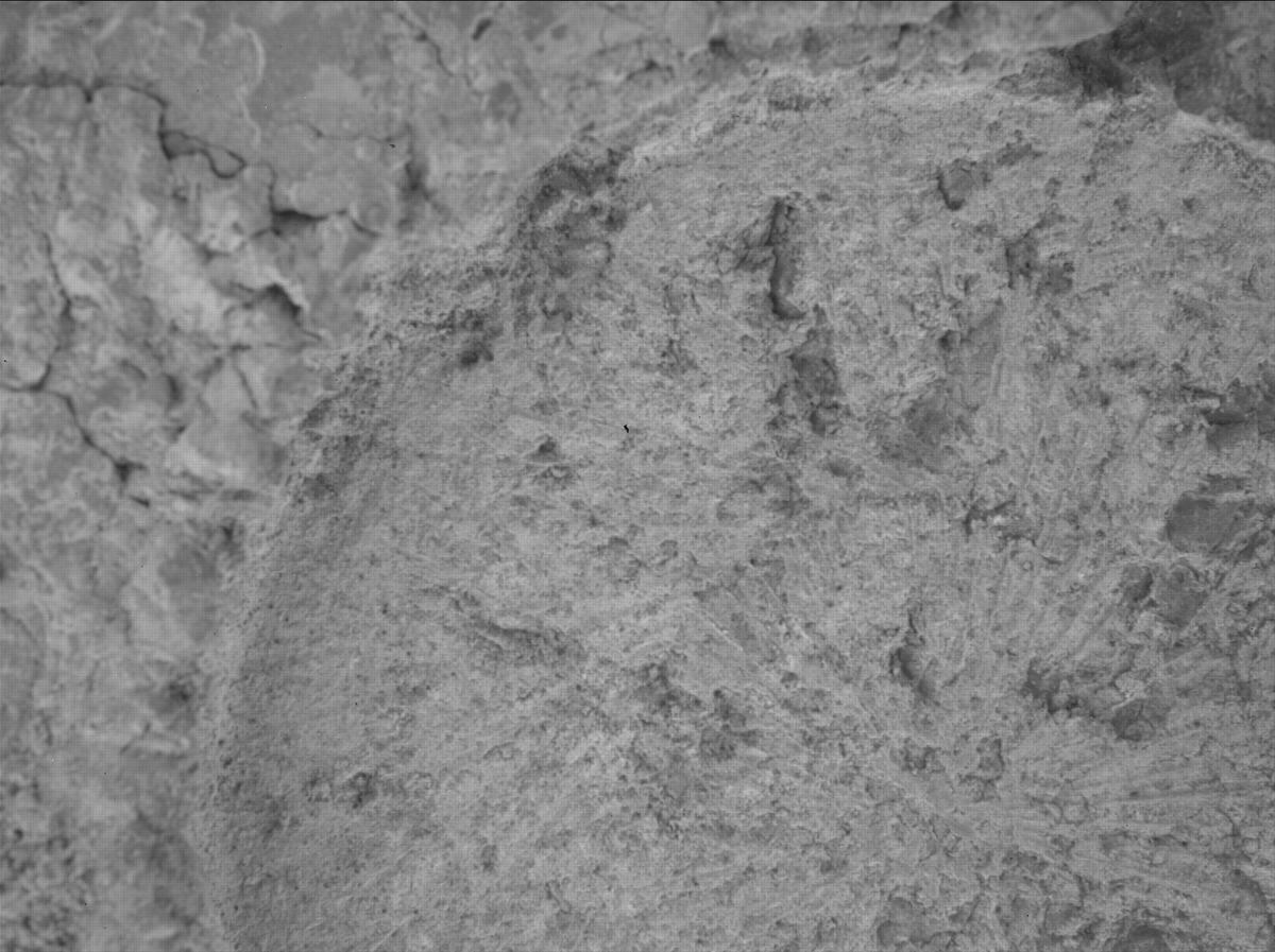 This image was taken by SHERLOC_WATSON onboard NASA's Mars rover Perseverance on Sol 1697