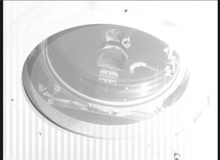 View image taken on Mars, Mars Perseverance Sol 1697: WATSON Camera 