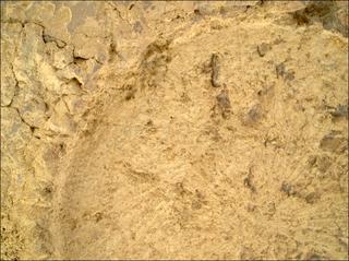 View image taken on Mars, Mars Perseverance Sol 1697: WATSON Camera 