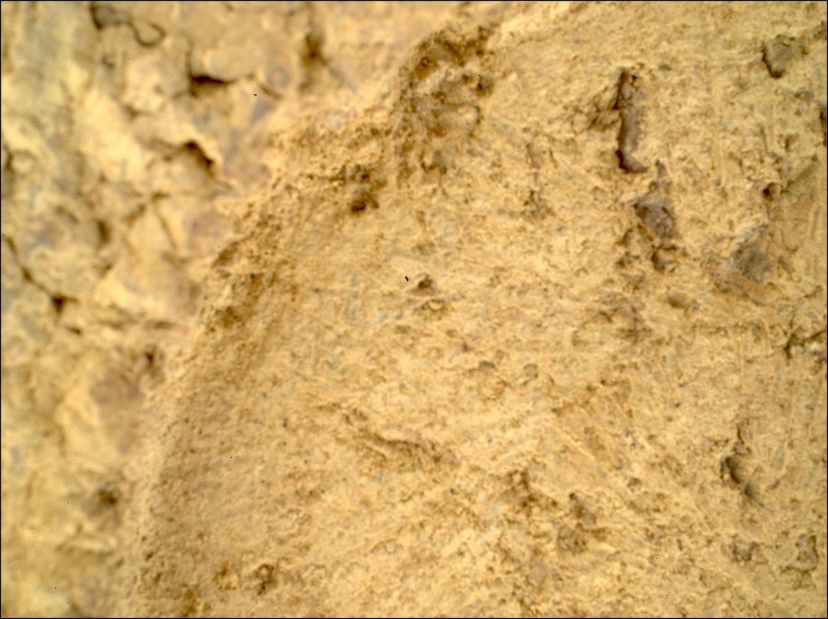 This image was taken by SHERLOC_WATSON onboard NASA's Mars rover Perseverance on Sol 1697