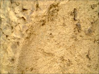 View image taken on Mars, Mars Perseverance Sol 1697: WATSON Camera 