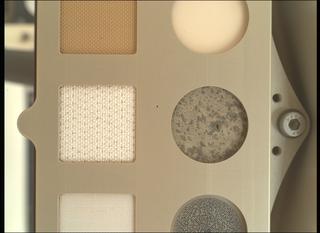 View image taken on Mars, Mars Perseverance Sol 1697: WATSON Camera 