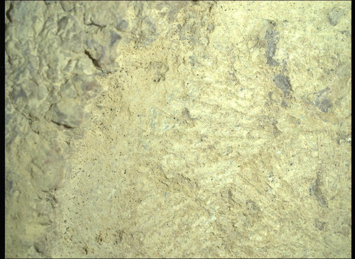 This image was taken by SHERLOC_WATSON onboard NASA's Mars rover Perseverance on Sol 1697