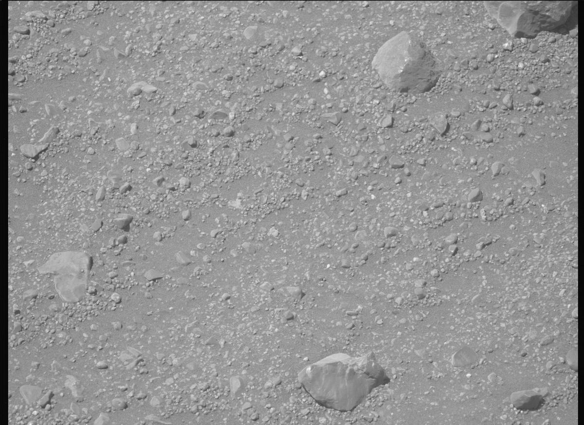 This image was taken by MCZ_LEFT onboard NASA's Mars rover Perseverance on Sol 1700