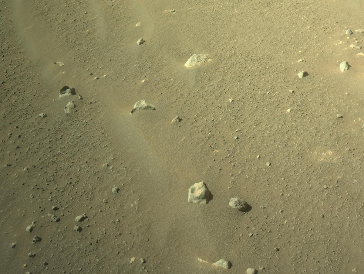 This image was taken by NAVCAM_RIGHT onboard NASA's Mars rover Perseverance on Sol 1701