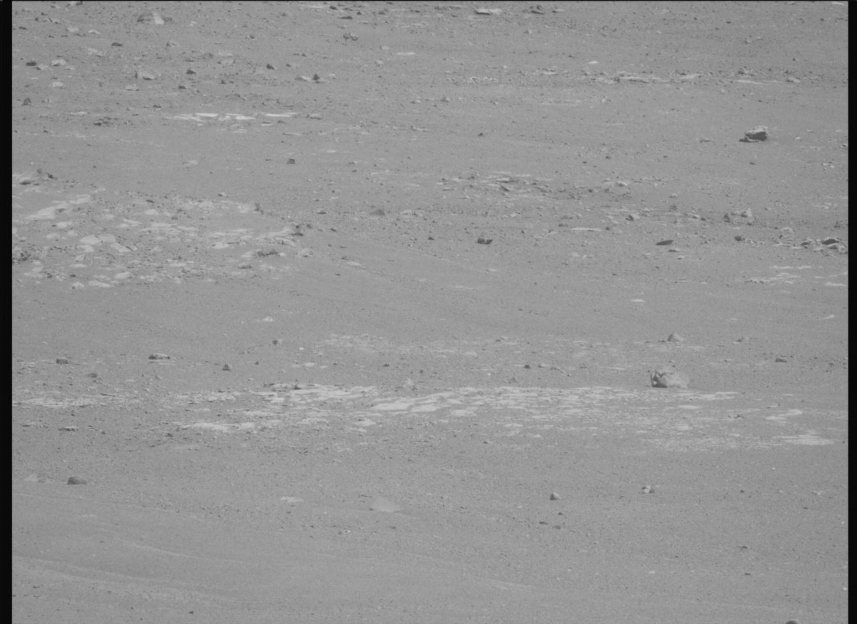 This image was taken by MCZ_LEFT onboard NASA's Mars rover Perseverance on Sol 1701