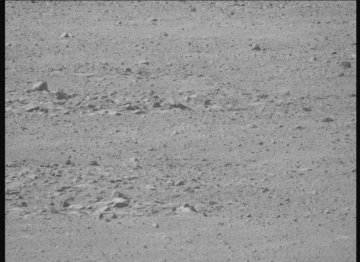This image was taken by MCZ_RIGHT onboard NASA's Mars rover Perseverance on Sol 1701