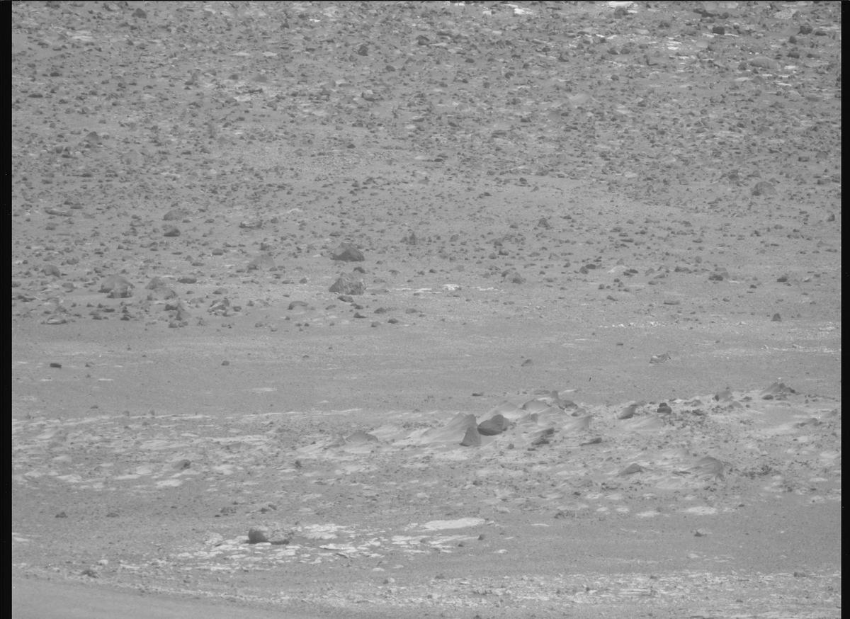 This image was taken by MCZ_RIGHT onboard NASA's Mars rover Perseverance on Sol 1701