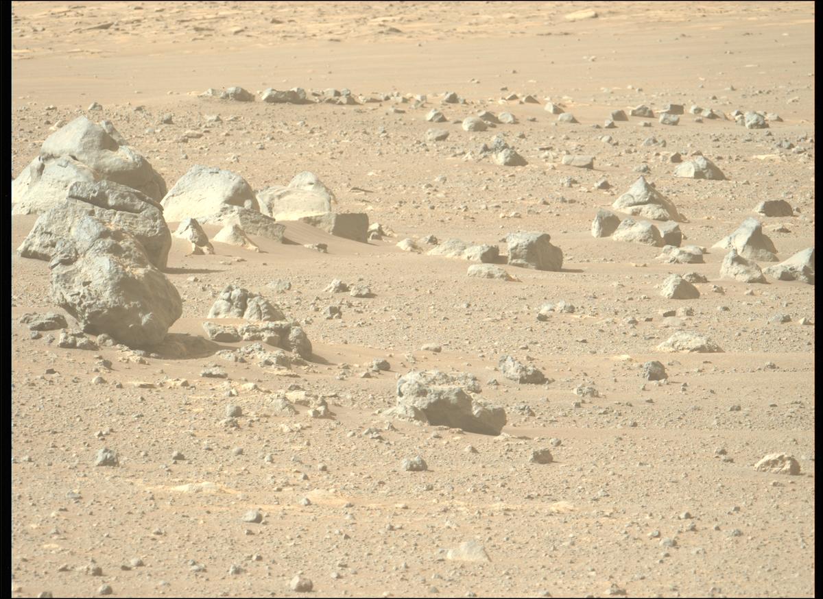 This image was taken by MCZ_LEFT onboard NASA's Mars rover Perseverance on Sol 1703