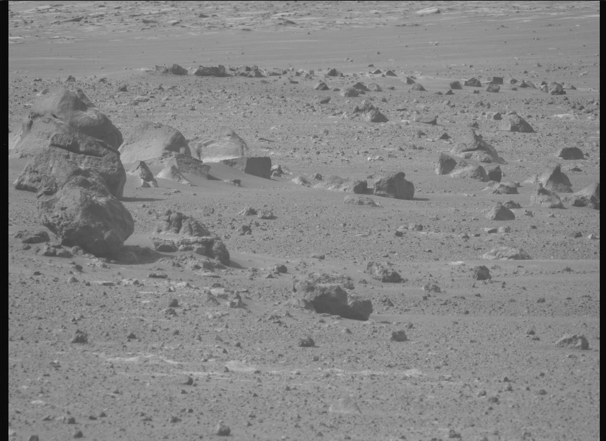 This image was taken by MCZ_LEFT onboard NASA's Mars rover Perseverance on Sol 1703