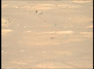 View image taken on Mars, Mars Perseverance Sol 1704: Right Mastcam-Z Camera