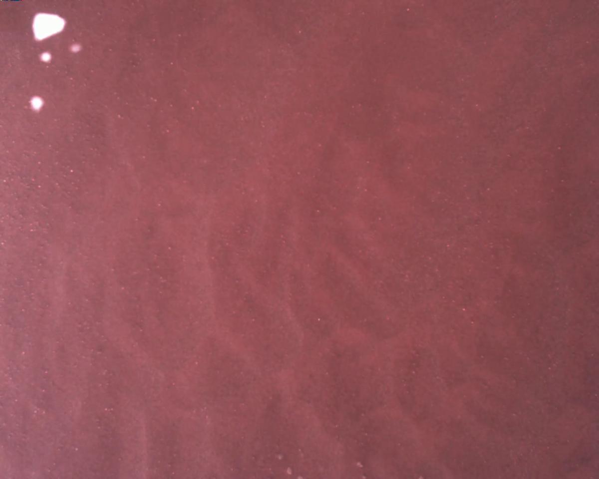 This image was taken by EDL_RDCAM onboard NASA's Mars rover Perseverance on Sol 1705