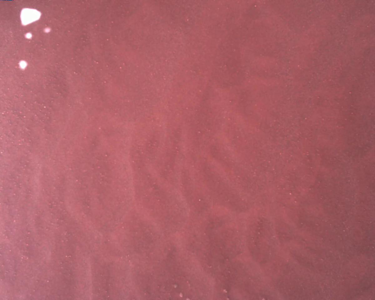 This image was taken by EDL_RDCAM onboard NASA's Mars rover Perseverance on Sol 1705