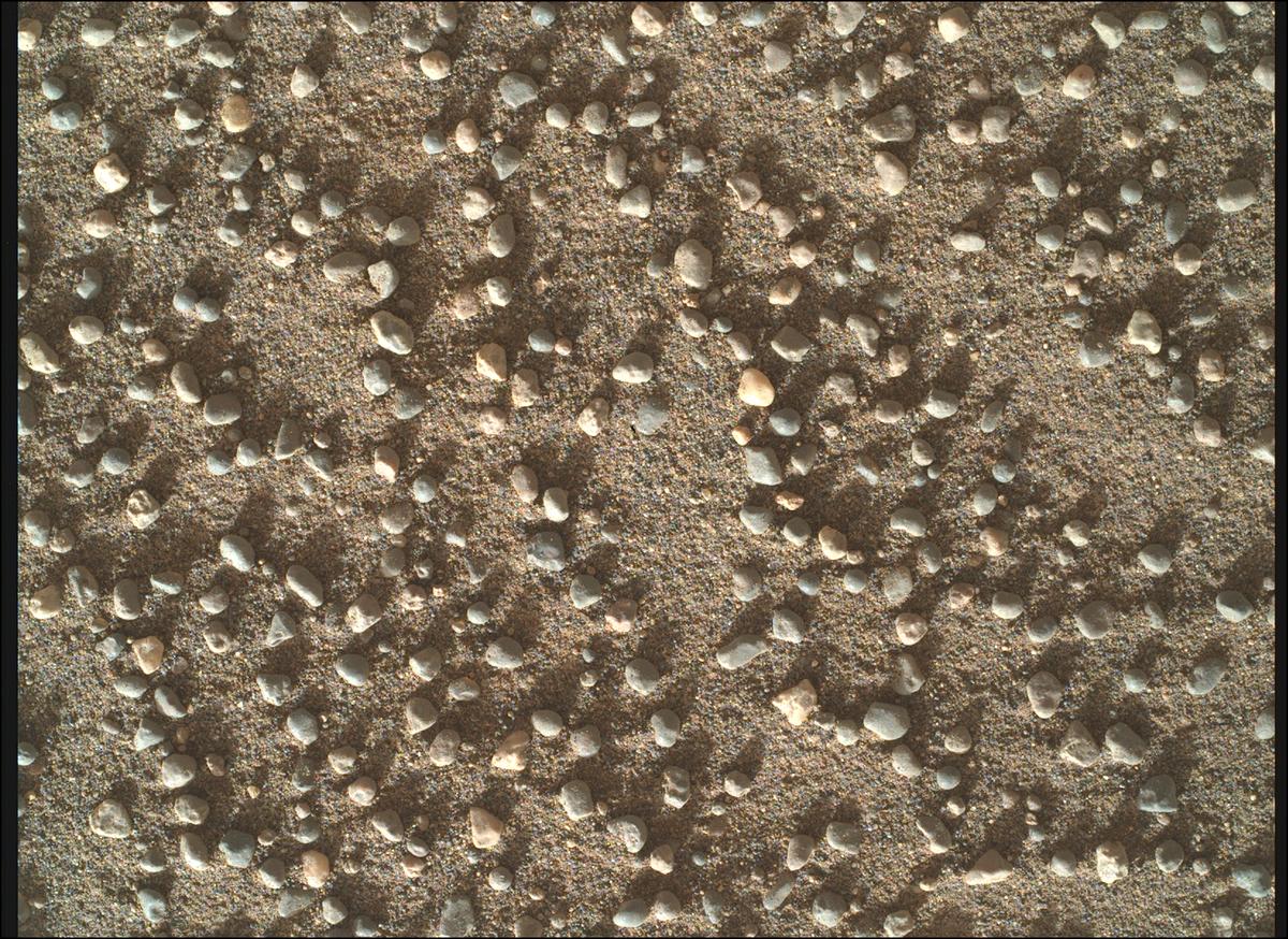 This image was taken by SHERLOC_WATSON onboard NASA's Mars rover Perseverance on Sol 1705