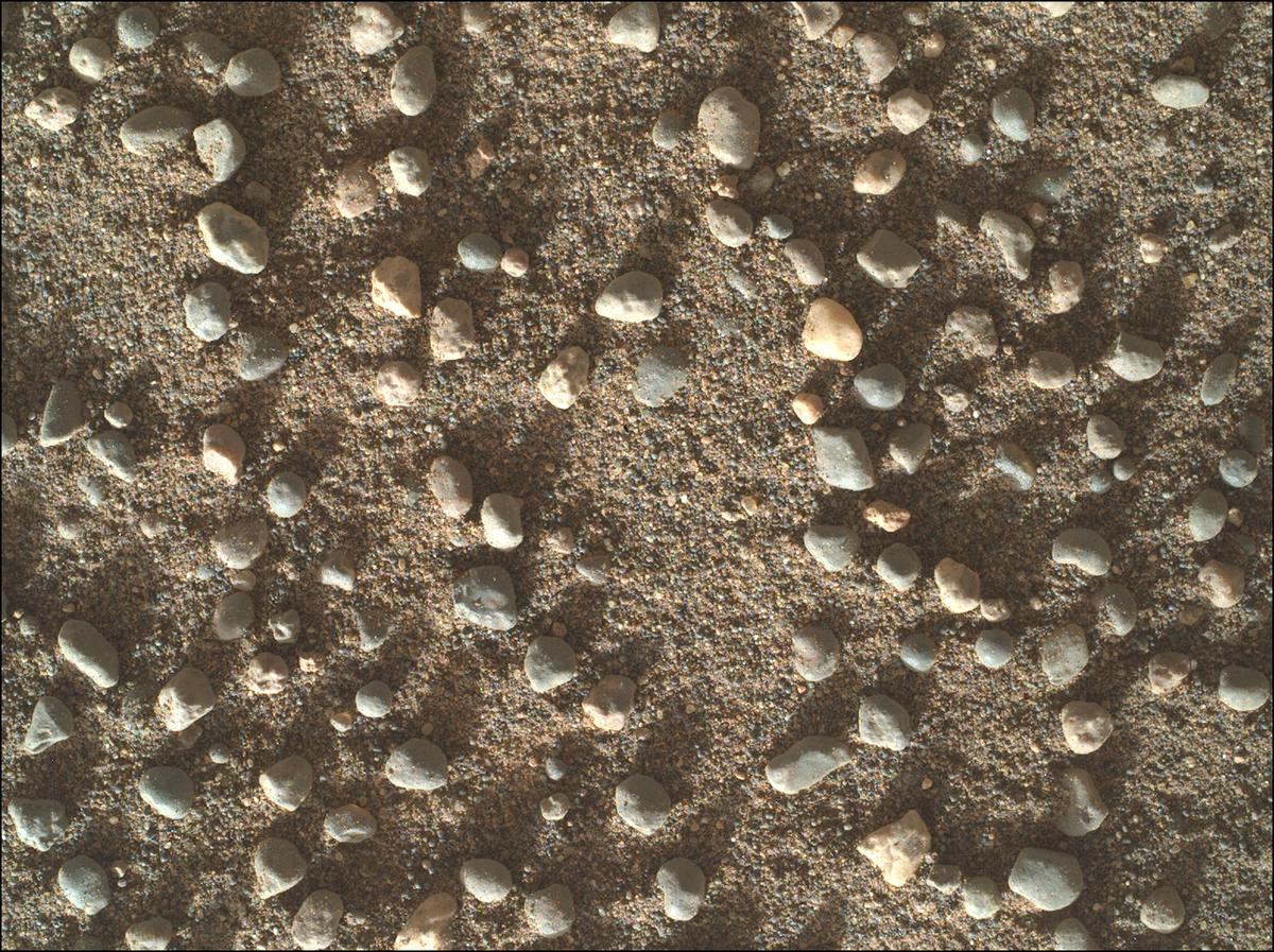 This image was taken by SHERLOC_WATSON onboard NASA's Mars rover Perseverance on Sol 1705