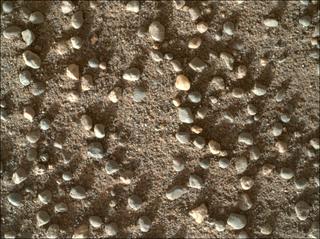 View image taken on Mars, Mars Perseverance Sol 1705: WATSON Camera 