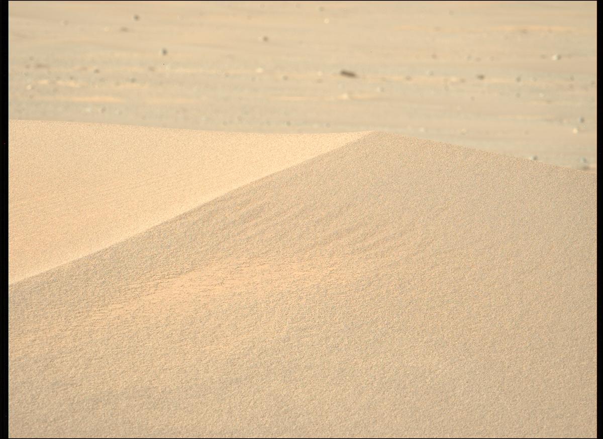 This image was taken by MCZ_LEFT onboard NASA's Mars rover Perseverance on Sol 1705