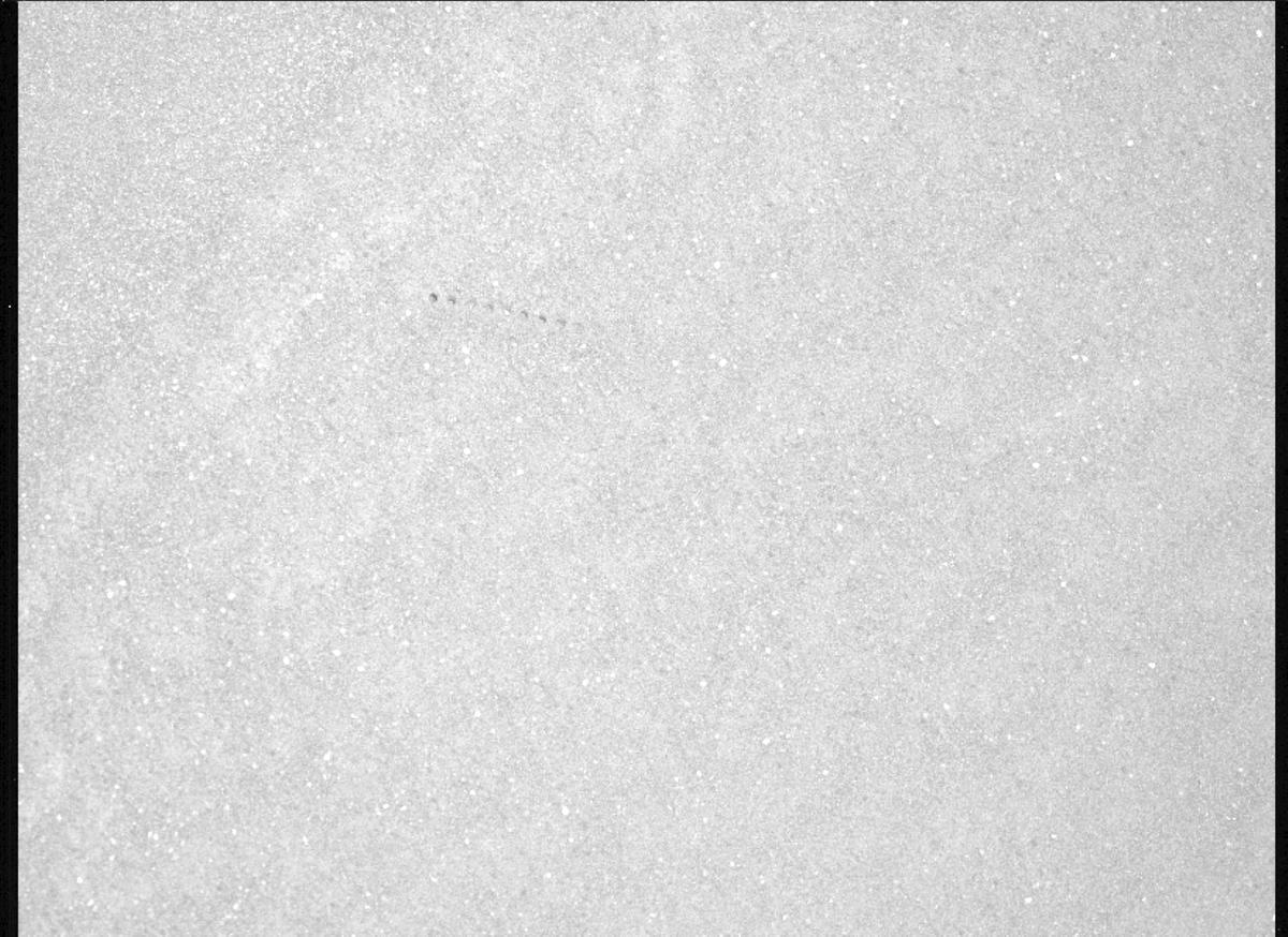 This image was taken by MCZ_LEFT onboard NASA's Mars rover Perseverance on Sol 1707