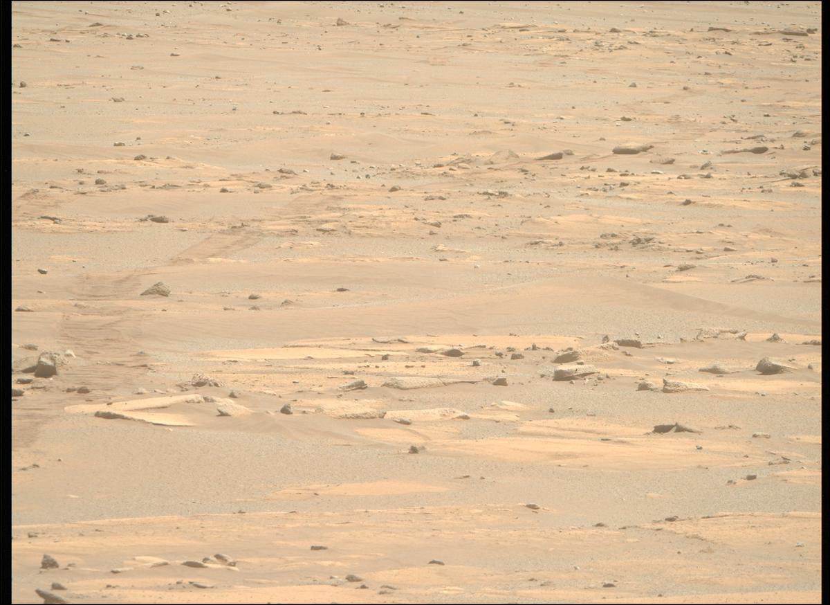 This image was taken by MCZ_RIGHT onboard NASA's Mars rover Perseverance on Sol 1709
