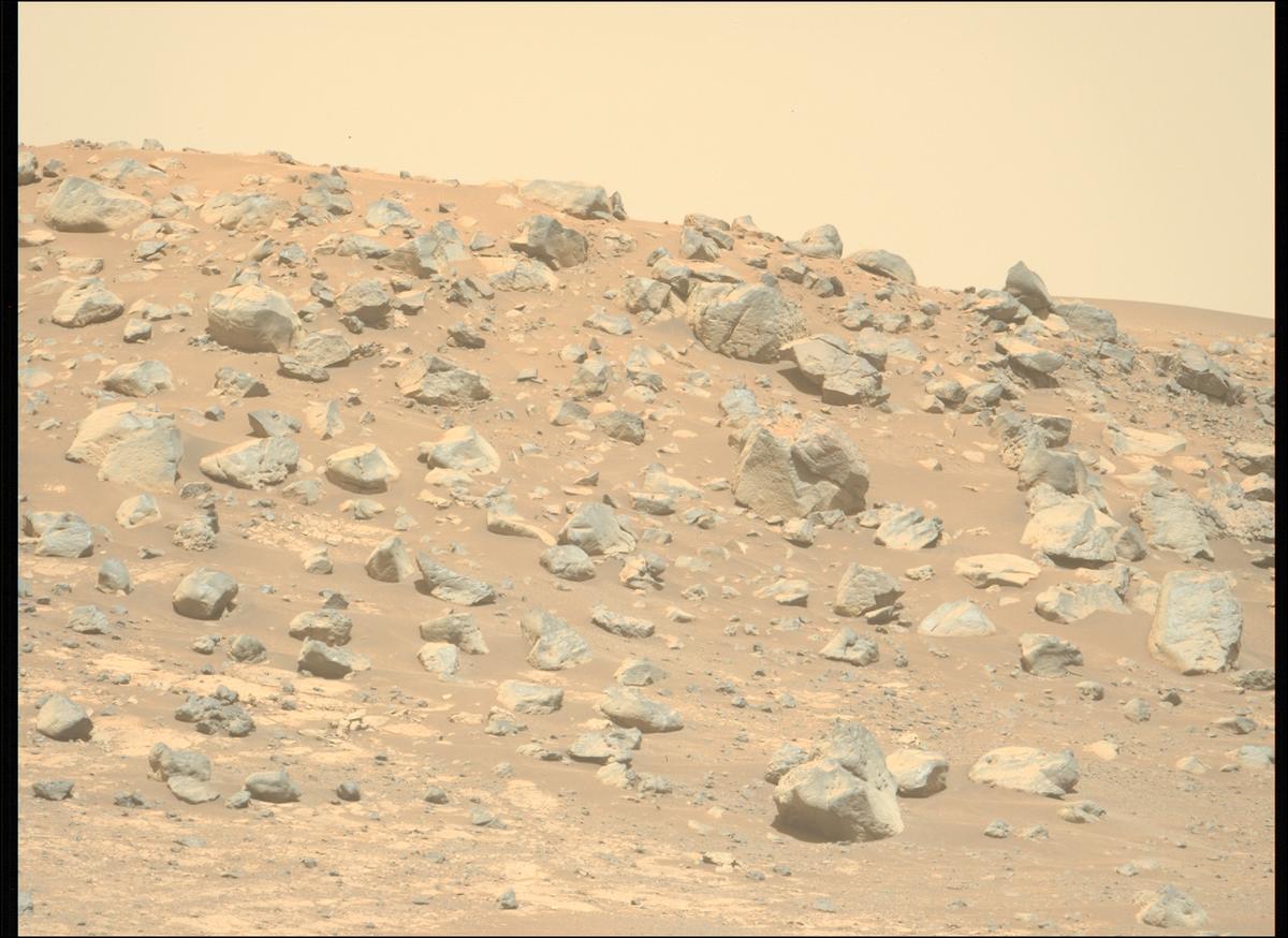 This image was taken by MCZ_LEFT onboard NASA's Mars rover Perseverance on Sol 1711