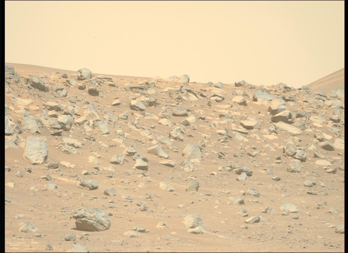 This image was taken by MCZ_LEFT onboard NASA's Mars rover Perseverance on Sol 1711