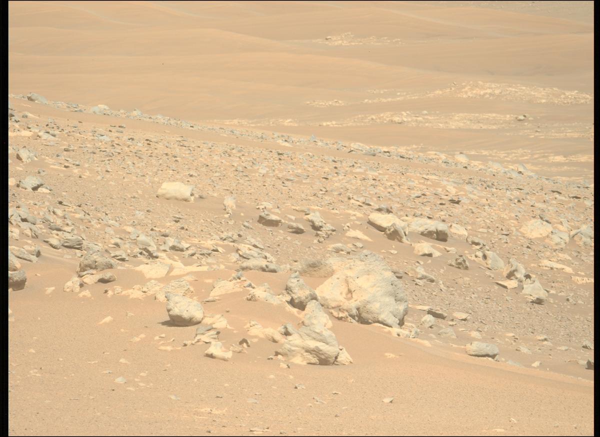 This image was taken by MCZ_LEFT onboard NASA's Mars rover Perseverance on Sol 1711