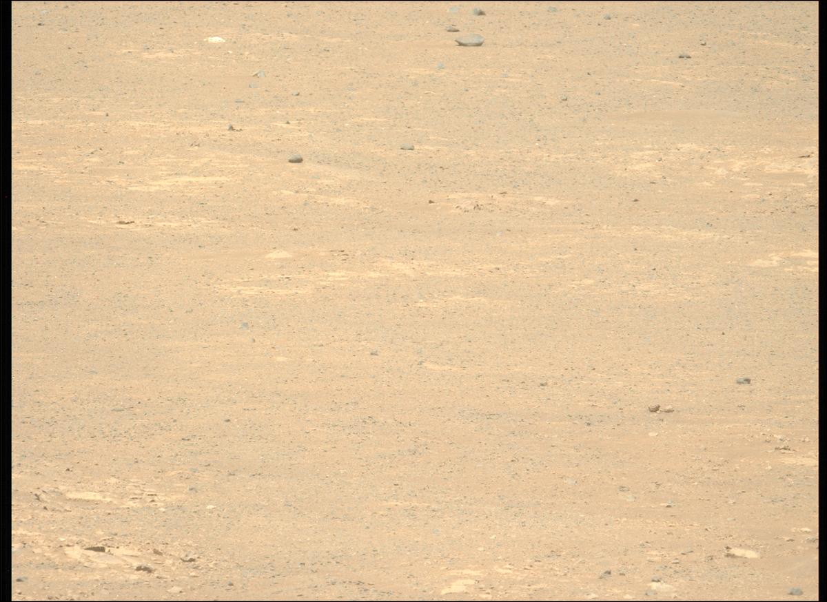 This image was taken by MCZ_LEFT onboard NASA's Mars rover Perseverance on Sol 1711