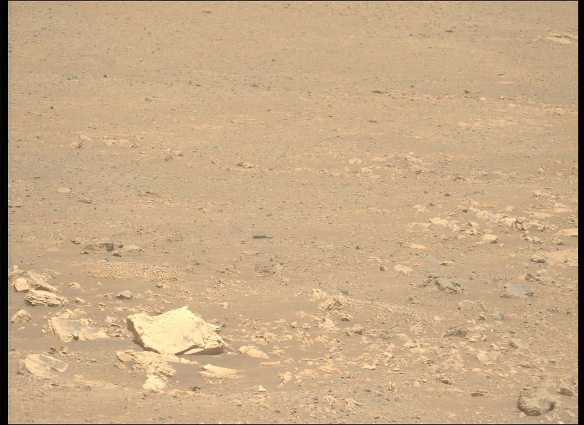 This image was taken by MCZ_LEFT onboard NASA's Mars rover Perseverance on Sol 1711
