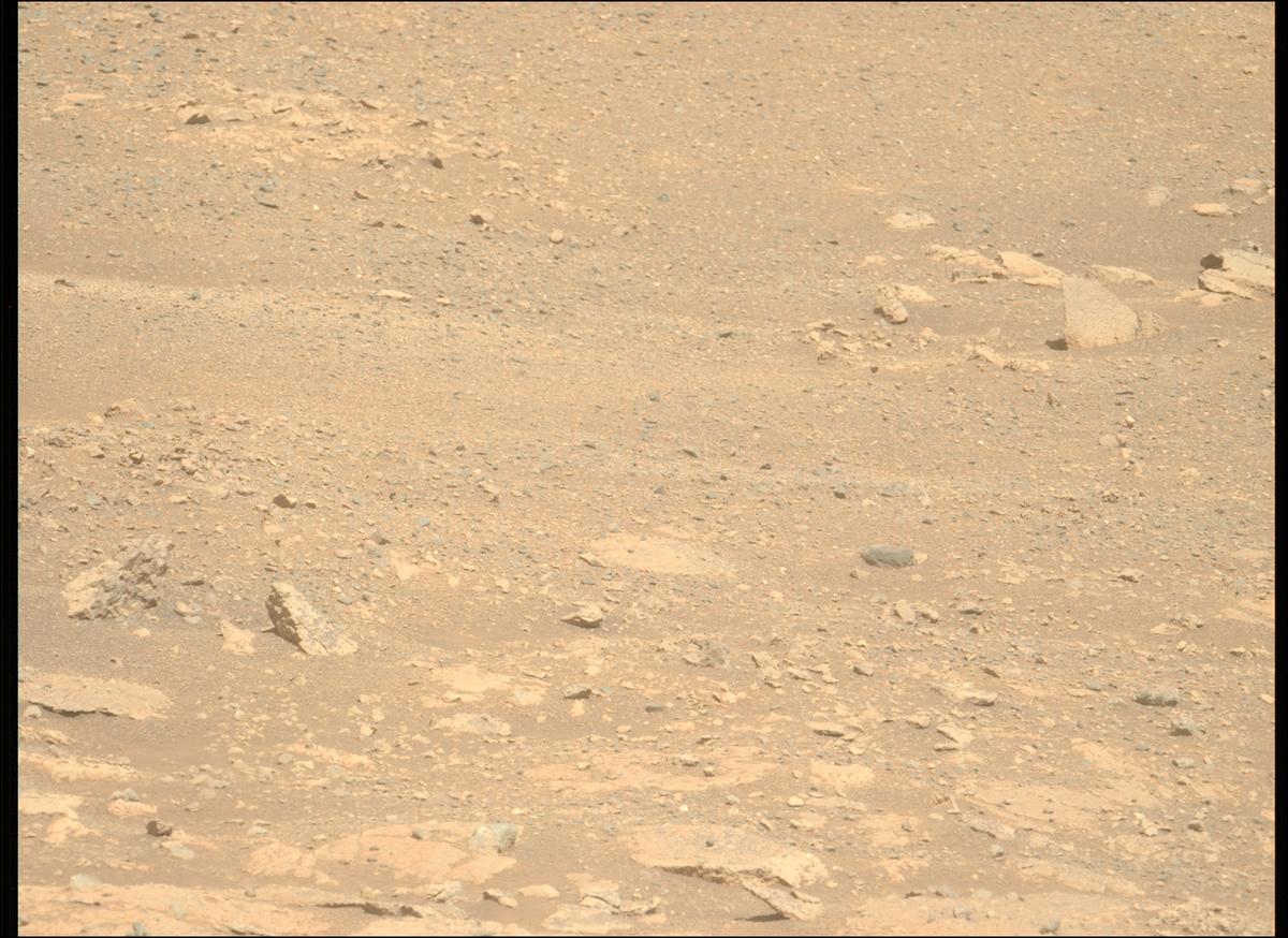 This image was taken by MCZ_LEFT onboard NASA's Mars rover Perseverance on Sol 1711
