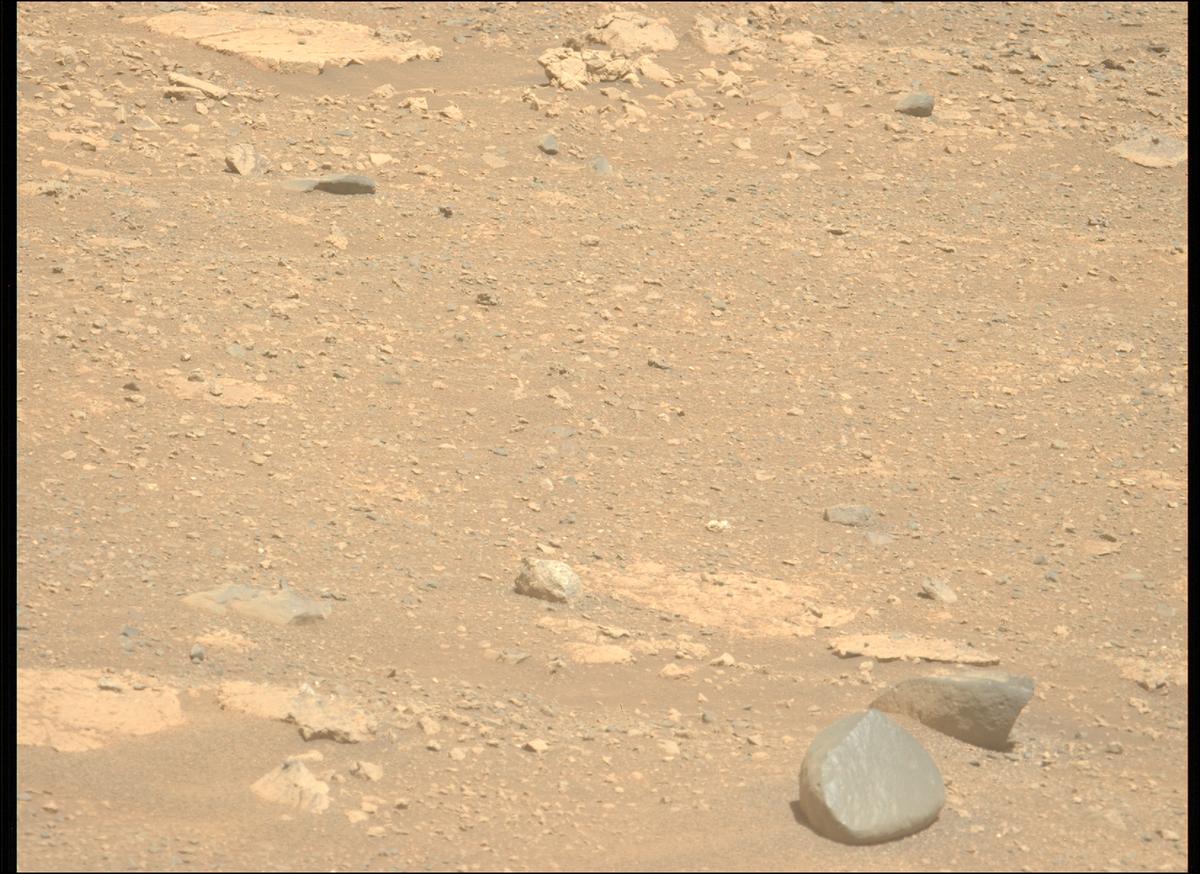 This image was taken by MCZ_LEFT onboard NASA's Mars rover Perseverance on Sol 1711