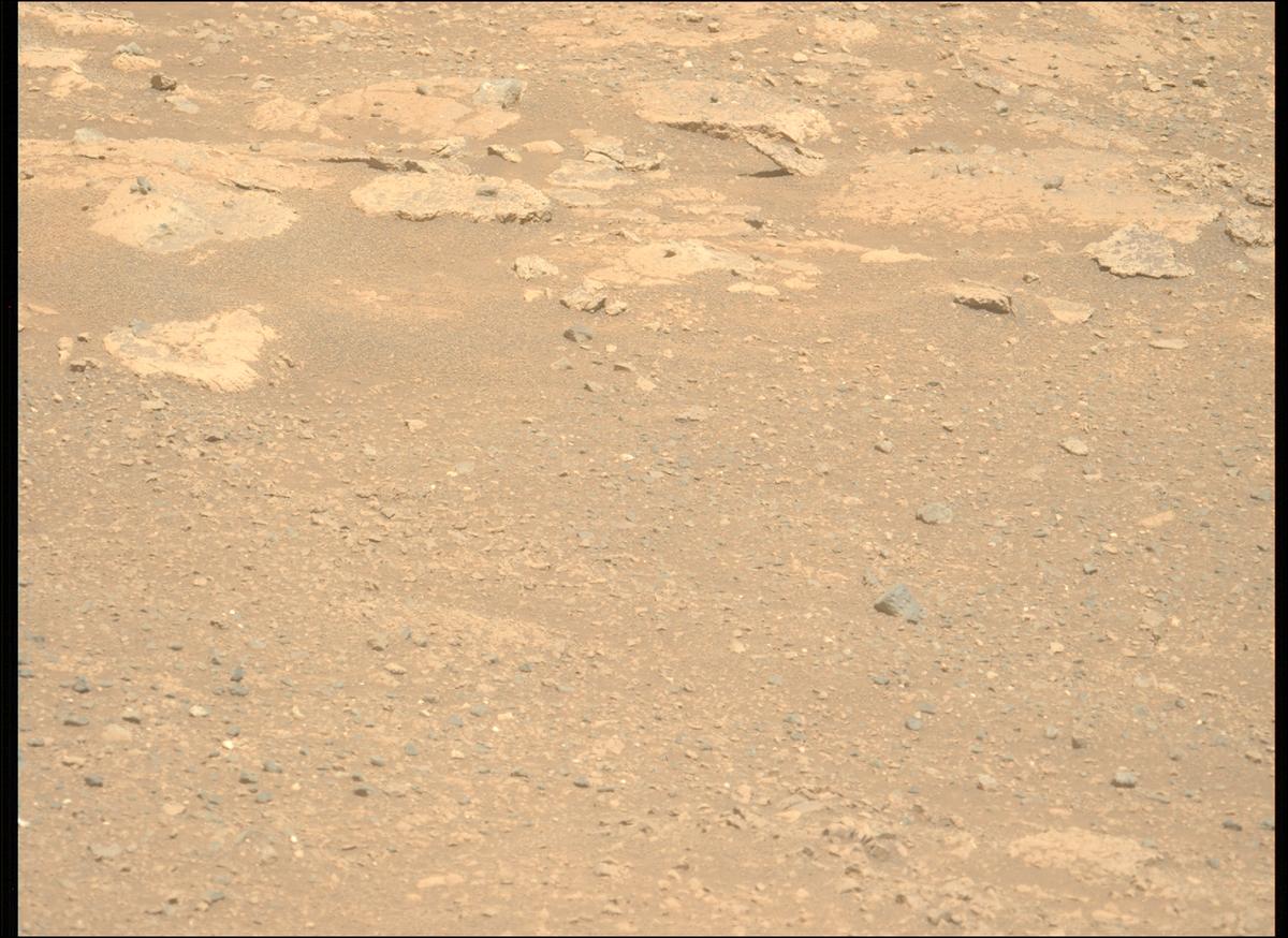 This image was taken by MCZ_LEFT onboard NASA's Mars rover Perseverance on Sol 1711