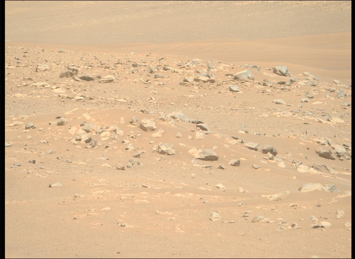 This image was taken by MCZ_RIGHT onboard NASA's Mars rover Perseverance on Sol 1711