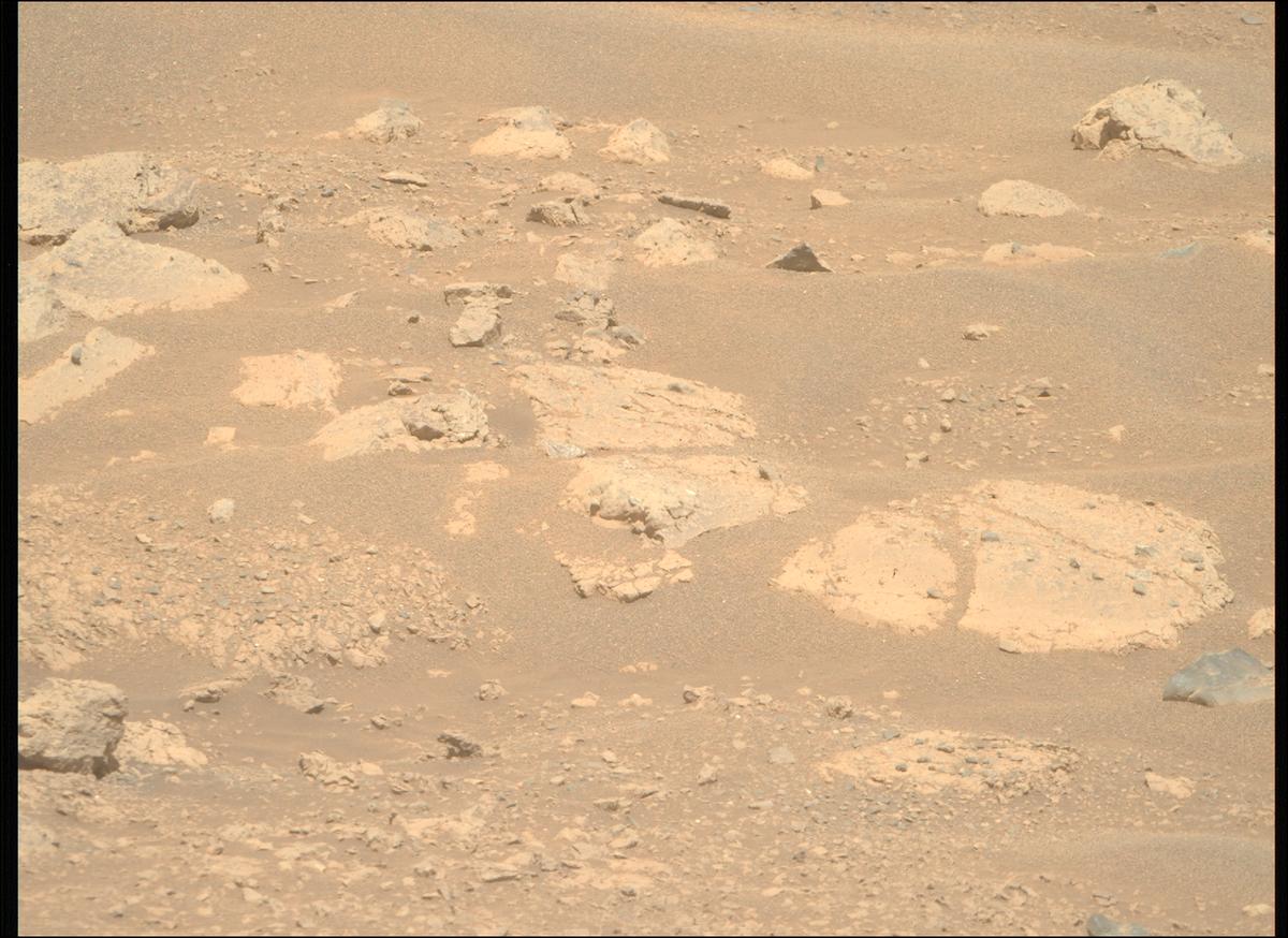 This image was taken by MCZ_RIGHT onboard NASA's Mars rover Perseverance on Sol 1711