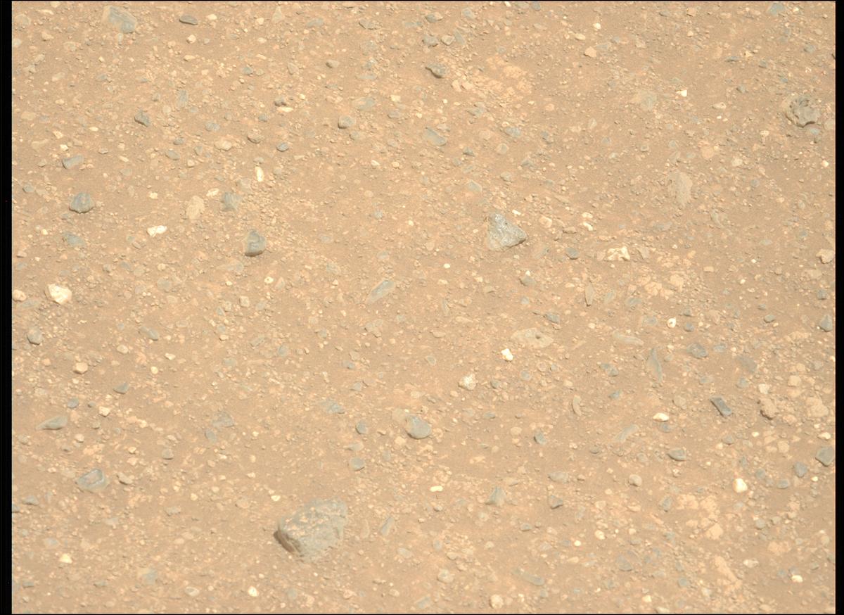 This image was taken by MCZ_LEFT onboard NASA's Mars rover Perseverance on Sol 1717