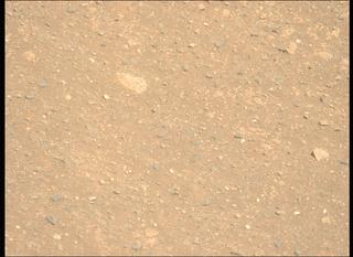 View image taken on Mars, Mars Perseverance Sol 1717: Left Mastcam-Z Camera