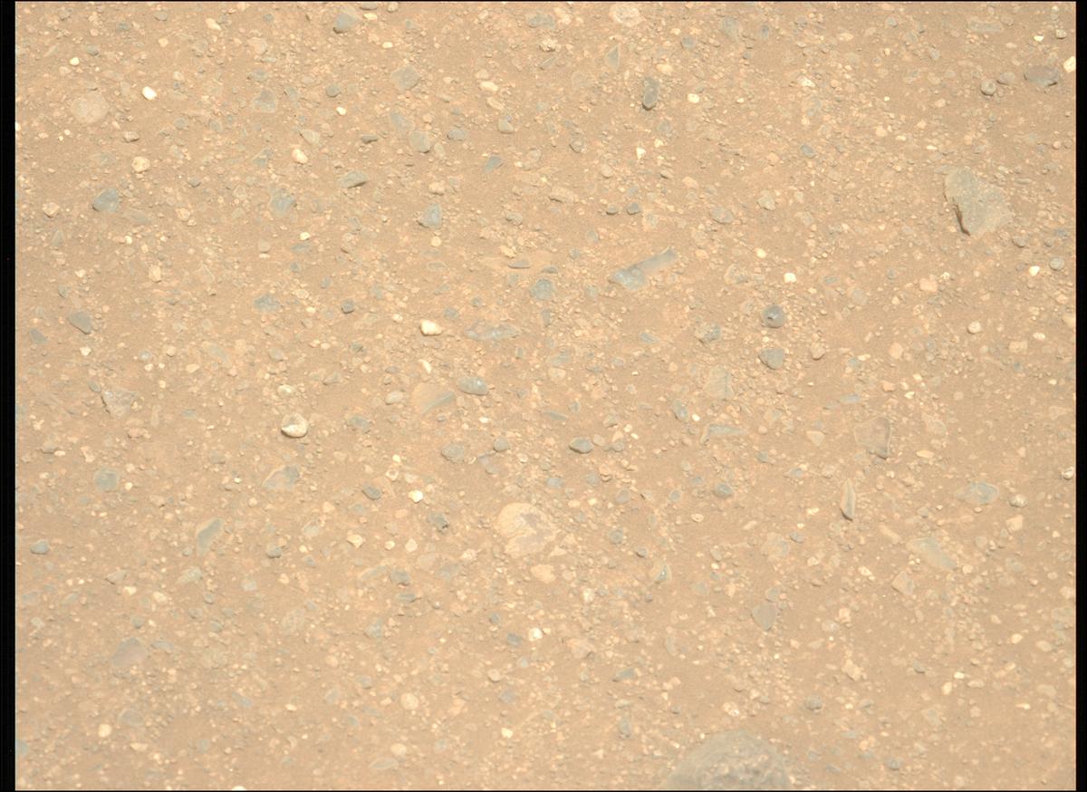 This image was taken by MCZ_LEFT onboard NASA's Mars rover Perseverance on Sol 1717